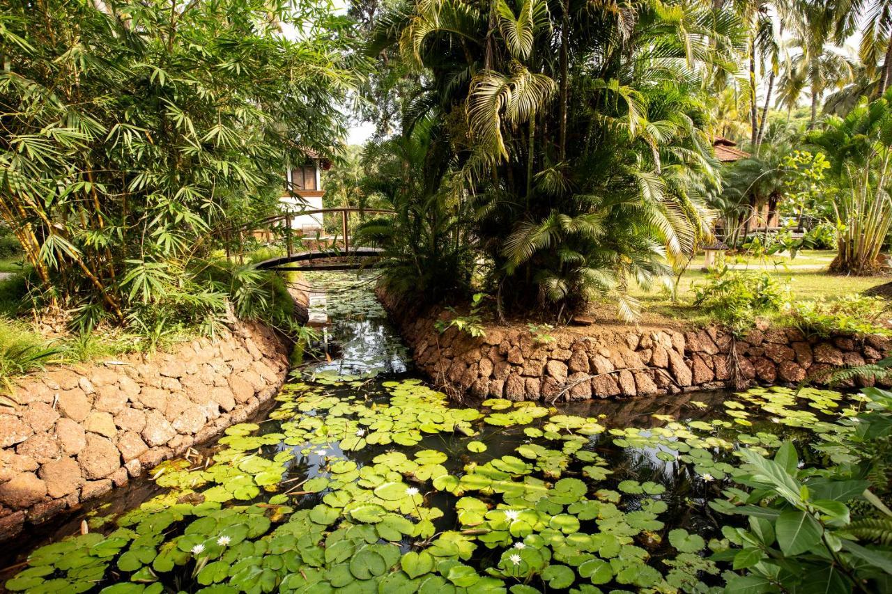 Mormugao Coconut Creek Resort - Dabolim Airport מראה חיצוני תמונה